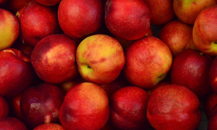 Aerial view of cluster of crisp mouth-healthy red apples with yellow speckles